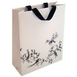 Promotional Paper Bag
