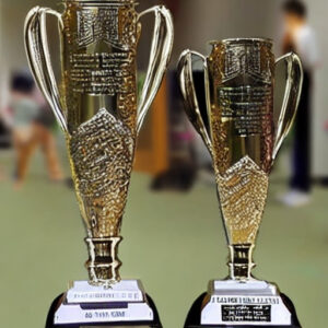 Custom Trophies and Medals