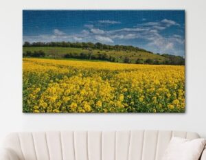 Large Print 3