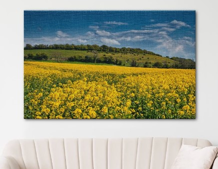 Large Print 3
