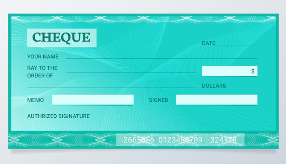 Dummy Cheques