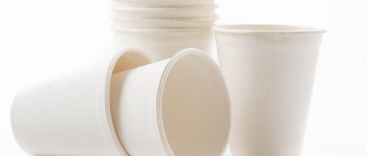 Custom Disposable Cups